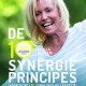 Dé 10 Synergieprincipes