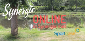 Synergie Online